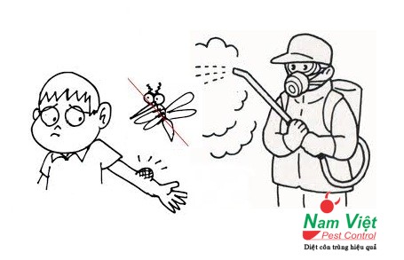 Cung cấp dịch vụ phun thuốc diệt muỗi hiệu quả