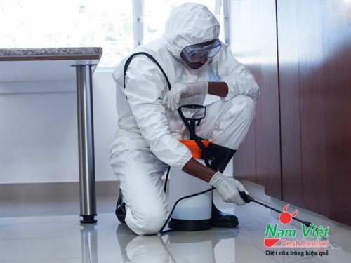 Dịch vụ diệt mối nhà ở