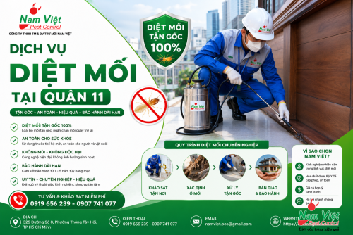 Dịch Vụ Diệt Mối Tại Quận 11