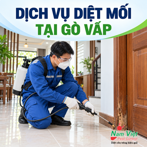 Dịch vụ diệt mối tại Gò Vấp: khảo sát tận nơi, bảo hành