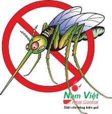Cung cấp thuốc diệt muỗi hiệu quả