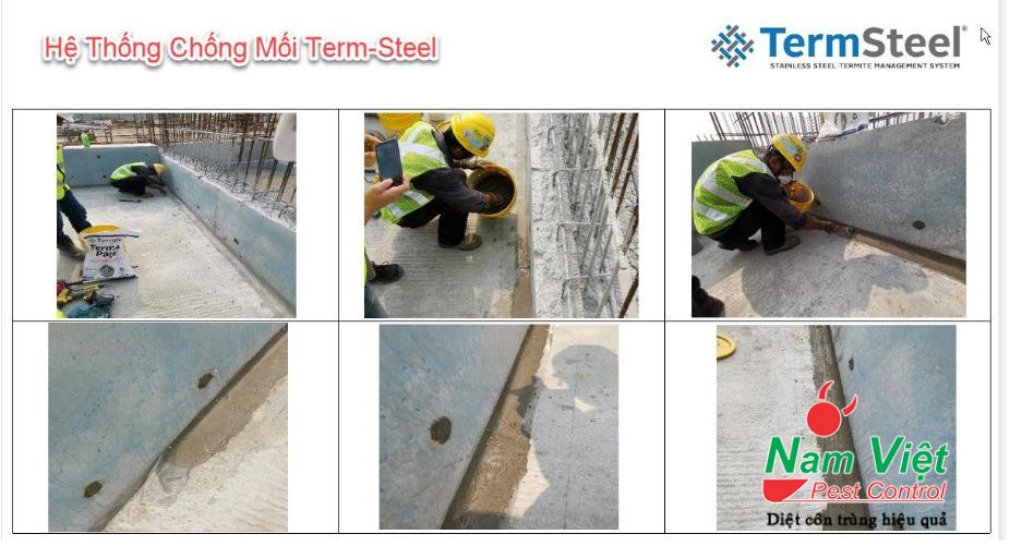 lưới termsteel