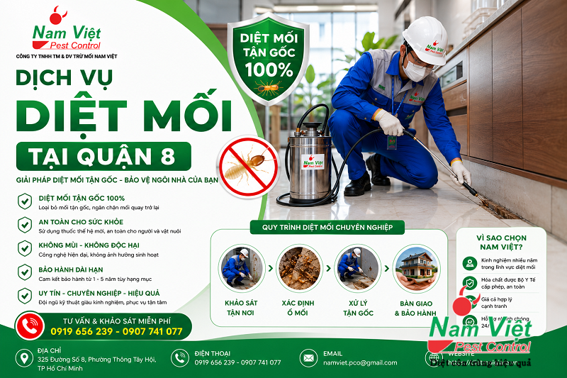 Dịch Vụ Diệt Mối Tại Quận 8