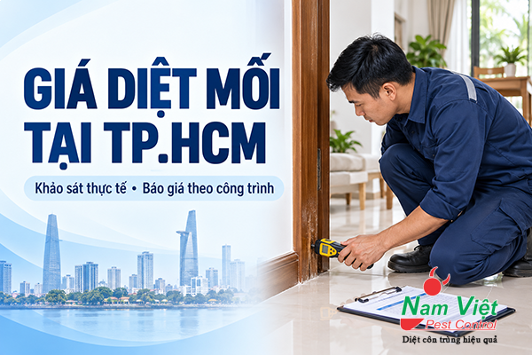 gia diet moi tai tphcm