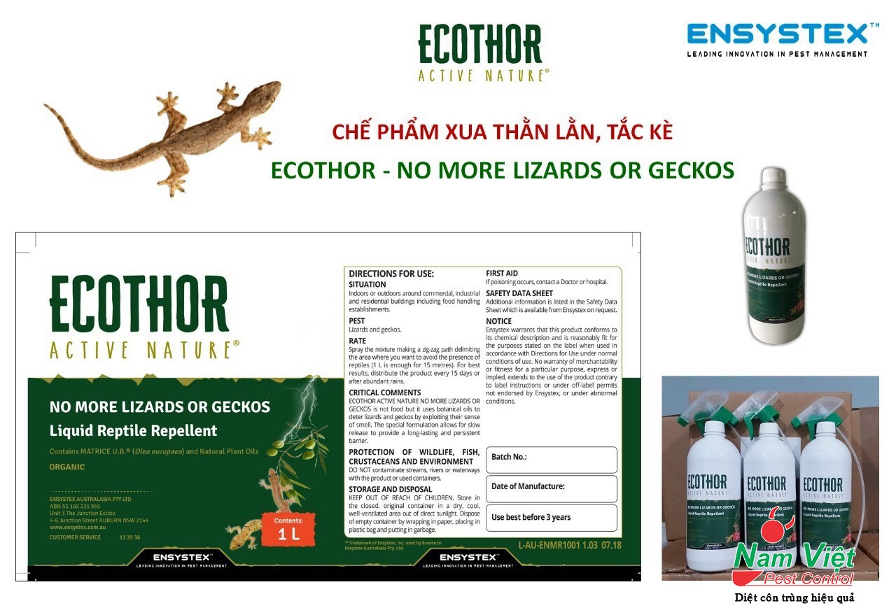 ecothor Ensystex
