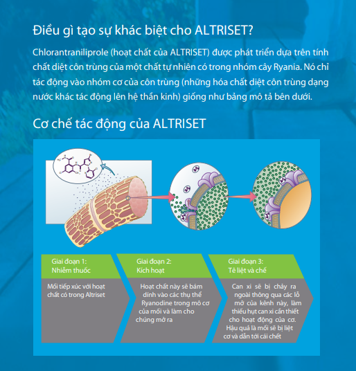 Thuốc diệt mối Altriset 200 SC (2)