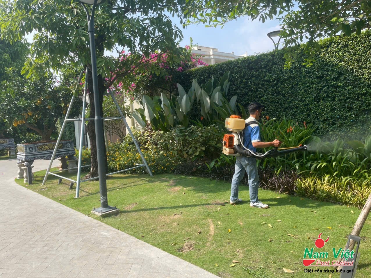 phun thuoc diet muoi 2