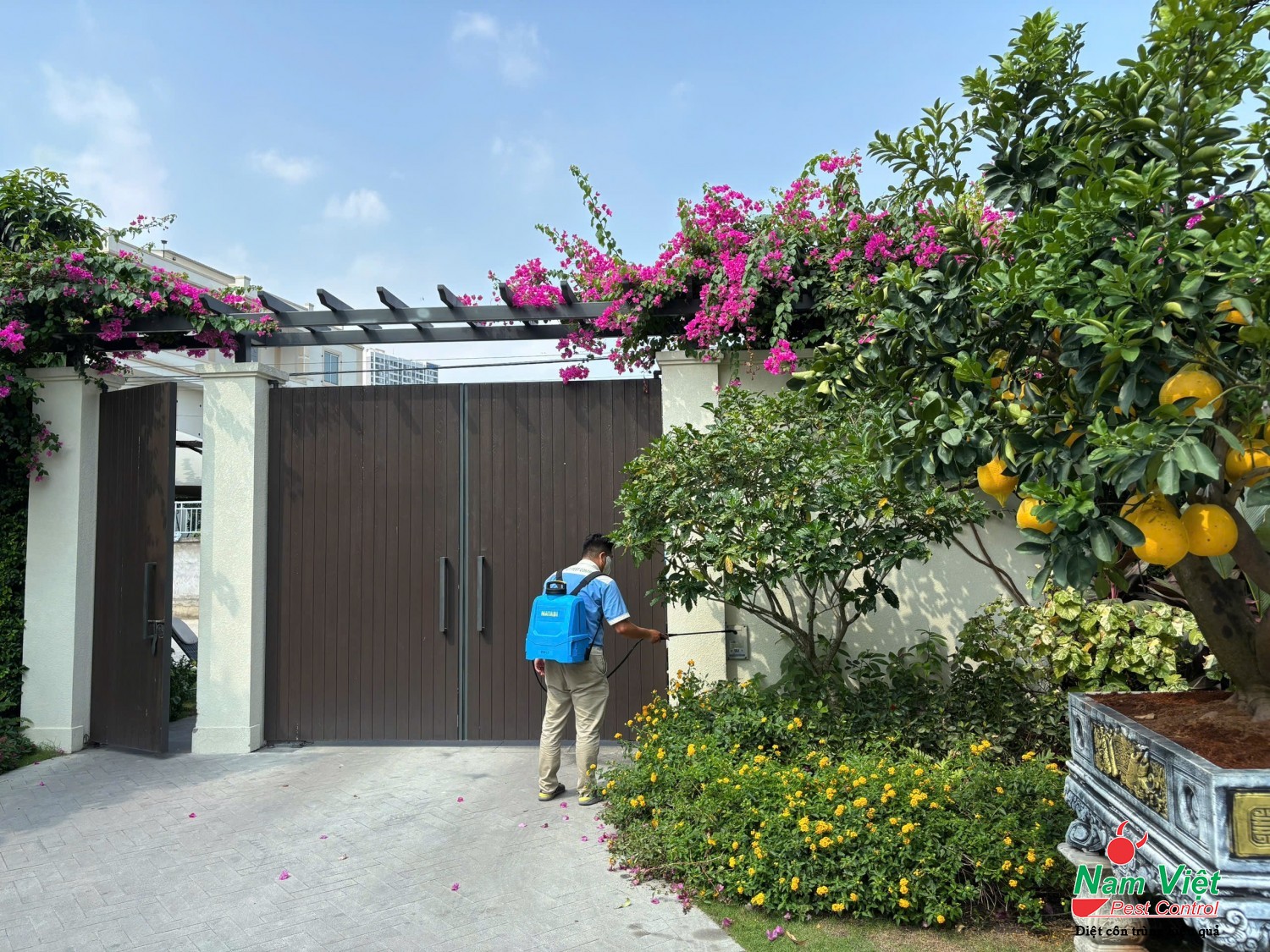 phun thuoc diet muoi 8