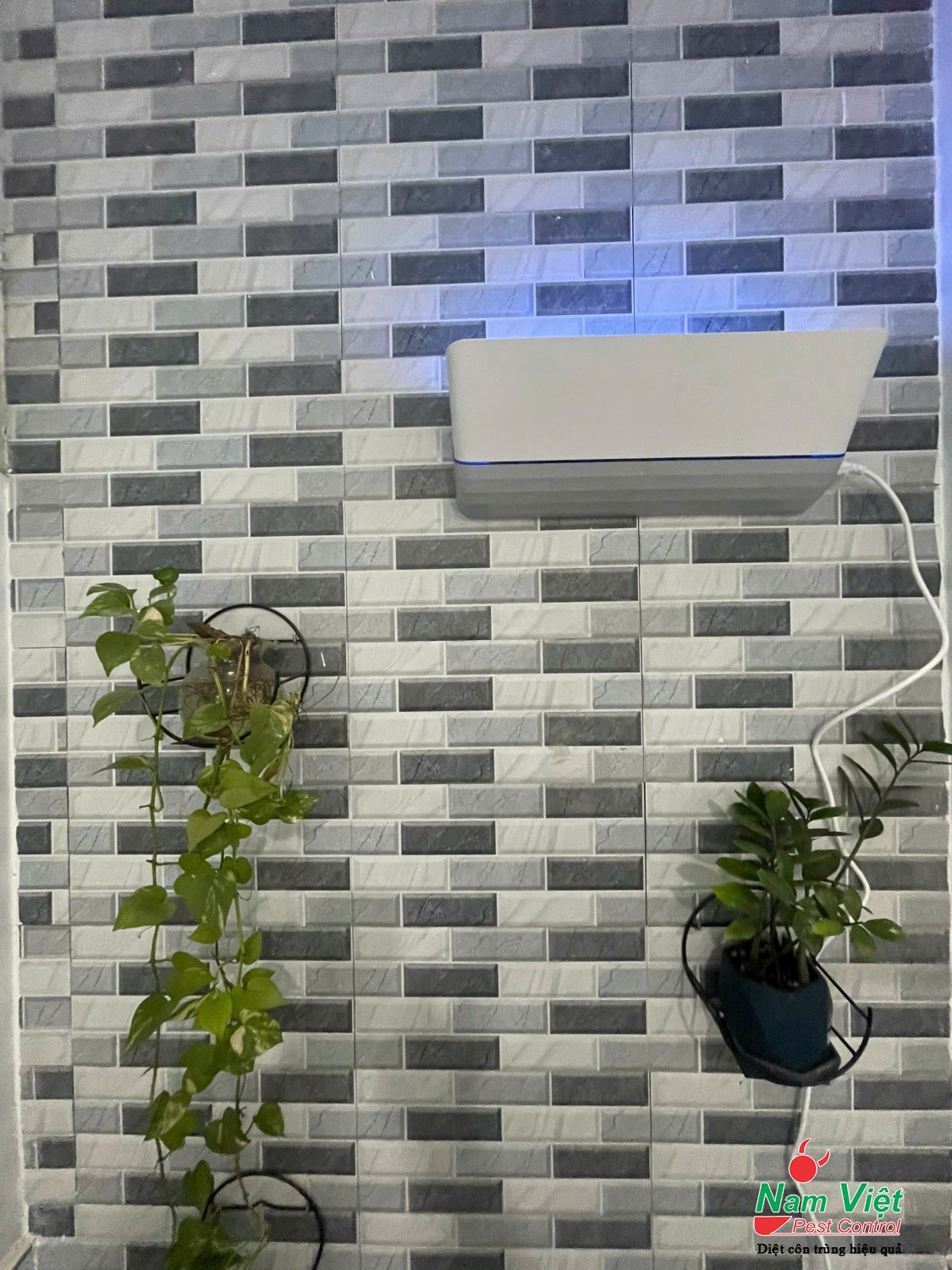 den bay con trung vectothor falcon led 1